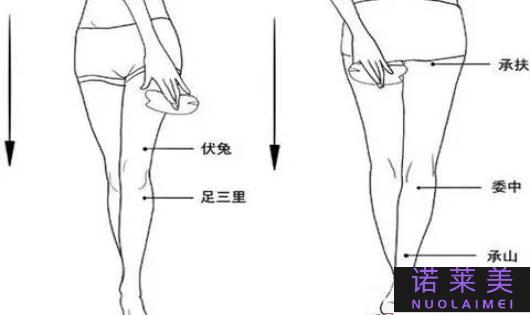 瘦小腿按哪个穴位