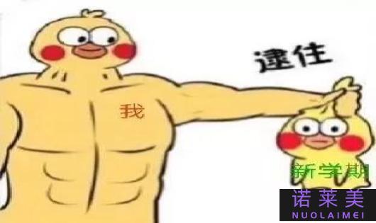 脱发属于哪个科