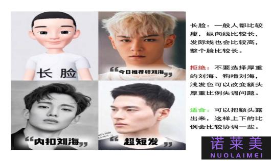 发型分区（根据脸型选择最适合的发型）