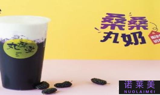 活泉和丸美哪个好